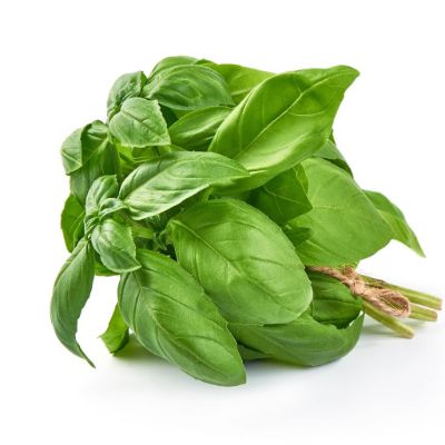 Buy Starfresh Basil Prepack About 20 Gm Online in India StarQuik